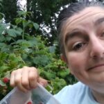 urgent-ideas-needed-for-cooking-with-15kg-frozen-raspberries