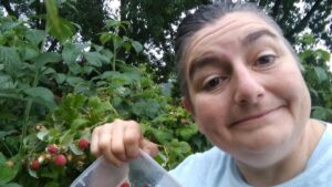 urgent-ideas-needed-for-cooking-with-15kg-frozen-raspberries