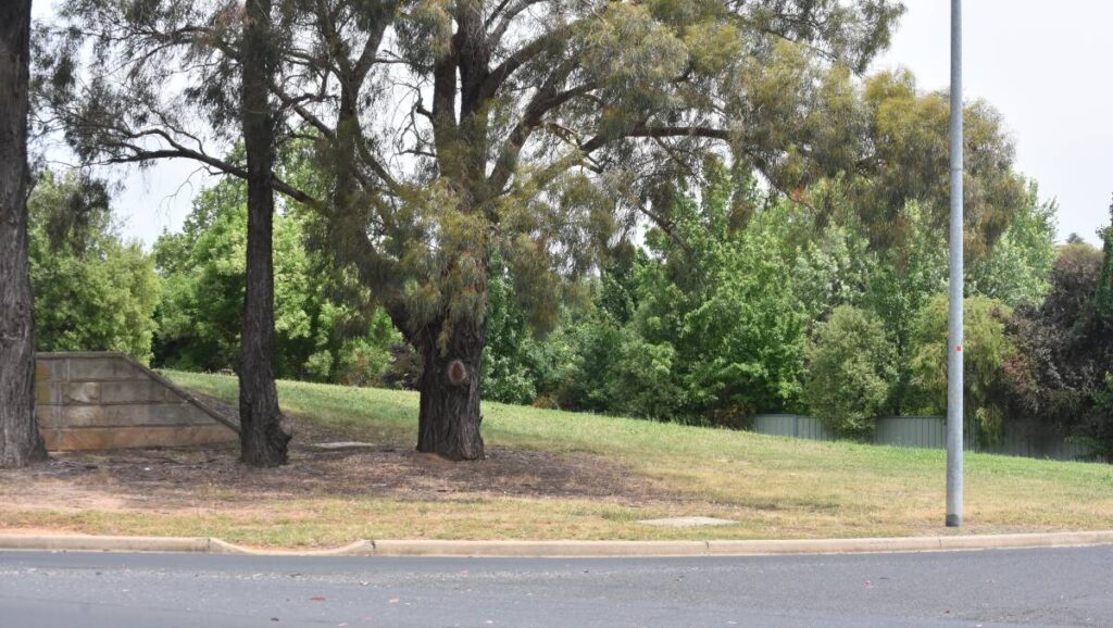 urgent-meeting-set-to-decide-future-of-vacant-land-in-orange