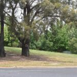 urgent-meeting-set-to-decide-future-of-vacant-land-in-orange