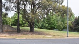 urgent-meeting-set-to-decide-future-of-vacant-land-in-orange