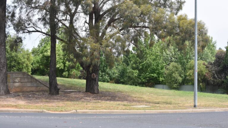 urgent-meeting-set-to-decide-future-of-vacant-land-in-orange