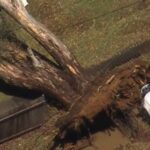 urgent-storms-strike-nsw-leaving-widespread-damage-in-wake