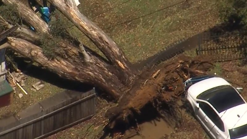 urgent-storms-strike-nsw-leaving-widespread-damage-in-wake