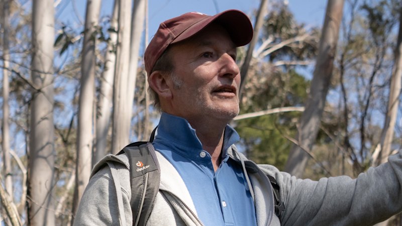 urgent-testing-in-medlow-bath-reveals-alarming-pfas-contamination