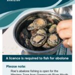 urgent-update-2025-2026-abalone-fishing-season-dates-announced