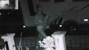 urgent-update-mother-found-dead-in-brisbane-river-stepfather-charged