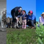 urgent-update-victorian-farmers-thrive-as-rain-revives-drought-affected-lands