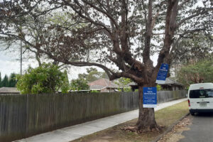 urgent-warning-aussies-face-3-000-fines-for-tree-poisoning