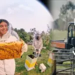 vce-vocational-major-surges-10-amid-strong-workforce-demand