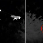 wyndham-council-launches-urgent-security-patrols-amid-crime-surge