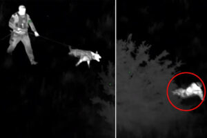 wyndham-council-launches-urgent-security-patrols-amid-crime-surge