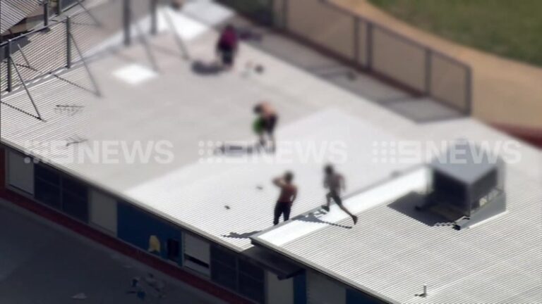 youths-scale-banksia-hill-roof-renewing-calls-for-reform