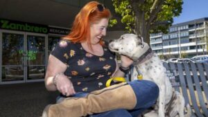 2025-s-top-dog-and-cat-names-revealed-in-urgent-update