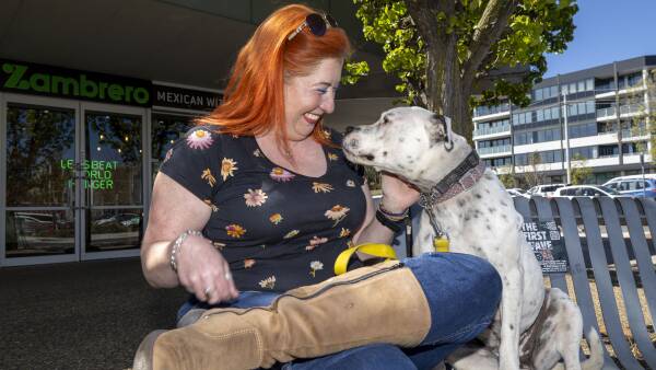 2025-s-top-dog-and-cat-names-revealed-in-urgent-update