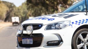 A dentist in Port Hedland has been charged with allegedly indece