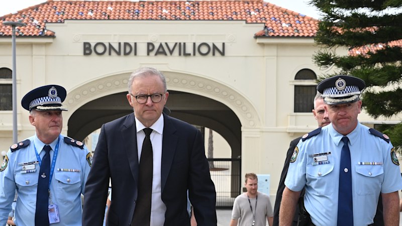 albanese-faces-criticism-for-delayed-response-to-antisemitism