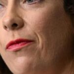 albanese-government-faces-urgent-high-court-challenge-over-social-media-ban