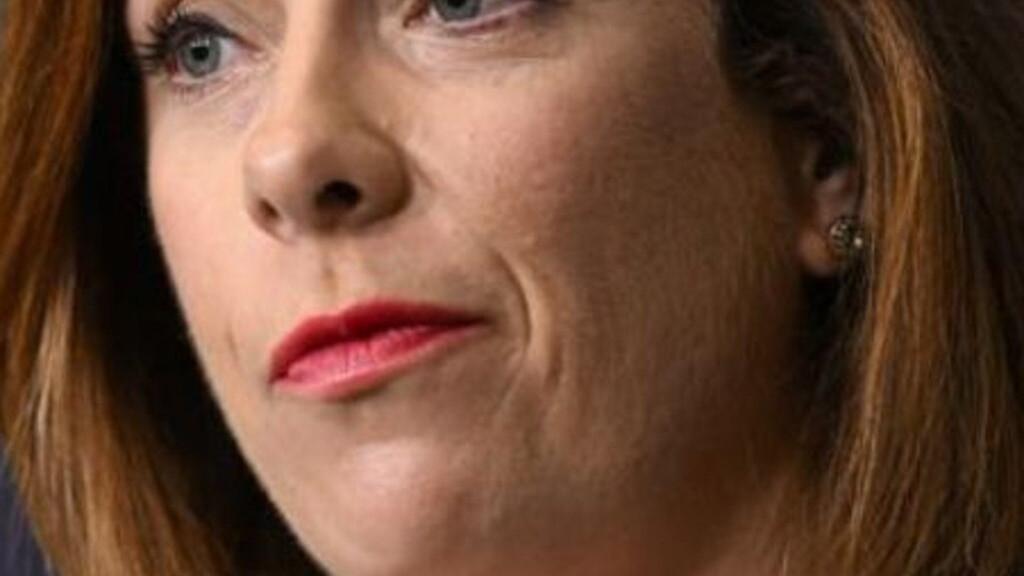 albanese-government-faces-urgent-high-court-challenge-over-social-media-ban