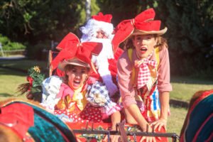 allora-s-bush-christmas-celebrates-30-years-of-tradition