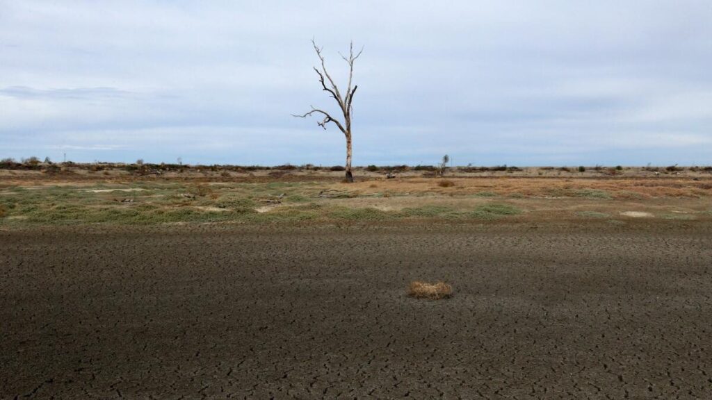 australia-launches-36-million-drought-preparedness-program-now