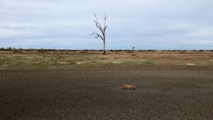 australia-launches-36-million-drought-preparedness-program-now