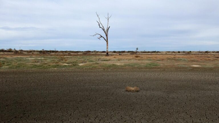 australia-launches-36-million-drought-preparedness-program-now