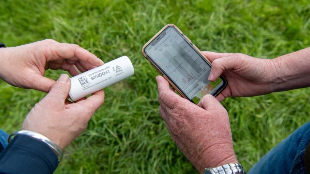 australian-farmers-embrace-early-detection-for-healthier-cows