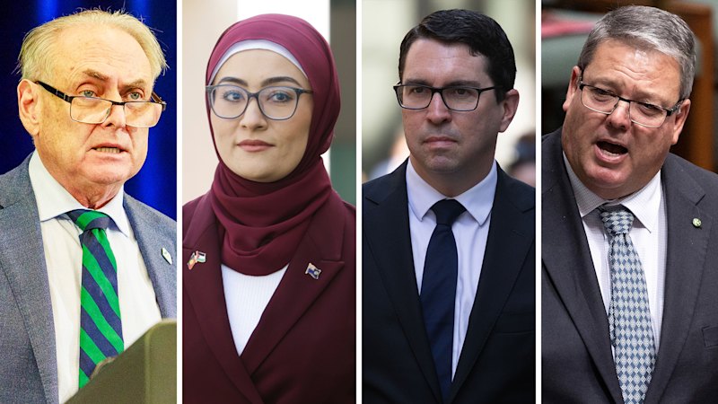 australian-mps-charge-over-400-000-in-family-travel-expenses