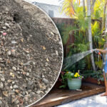 australians-cautioned-on-free-soil-offers-amid-6-000-in-fines