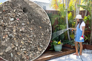 australians-cautioned-on-free-soil-offers-amid-6-000-in-fines