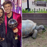 bindi-irwin-shares-daughter-s-heartwarming-reunion-with-giant-tortoise