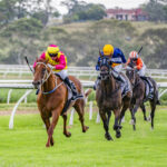 boxing-day-races-ignite-community-spirit-in-warwick-today