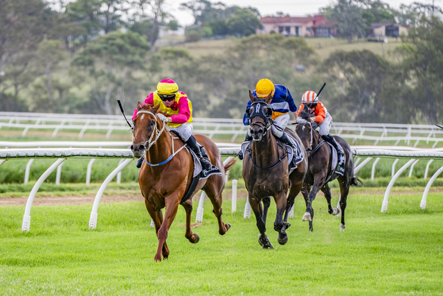 boxing-day-races-ignite-community-spirit-in-warwick-today