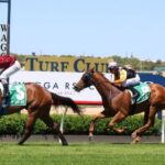 brenlyn-s-legacy-triumphs-again-in-wagga-with-1-35-length-victory