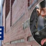 case-against-carjacking-suspect-delayed-by-missing-evidence