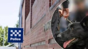 case-against-carjacking-suspect-delayed-by-missing-evidence