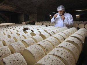 china-imposes-provisional-tariffs-on-eu-dairy-products