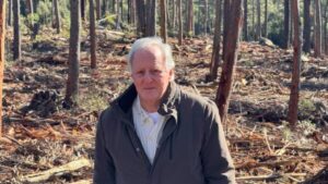 citizen-scientists-mobilize-to-save-glenbog-cloud-forest-from-logging