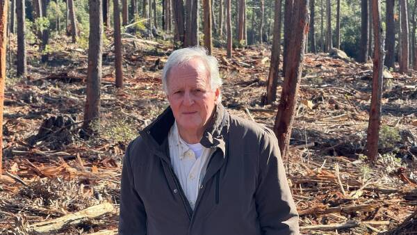 citizen-scientists-mobilize-to-save-glenbog-cloud-forest-from-logging