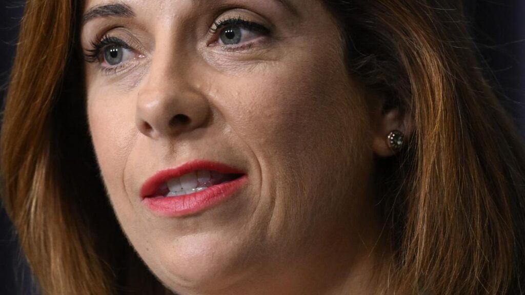 communications-minister-spends-nearly-100k-on-ny-trip-for-social-media-ban