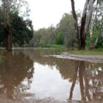 company-fined-10-176-for-dumping-37-000-litres-of-waste