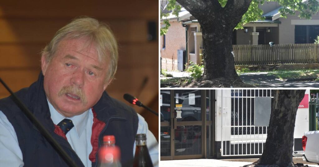 council-approves-tree-removal-local-business-faces-uncertainty