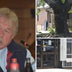 council-approves-tree-removal-local-business-faces-uncertainty