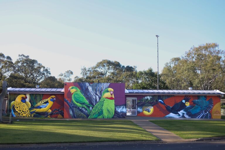 darlington-point-pool-unveils-vibrant-mural-ahead-of-christmas