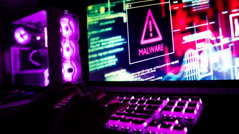 equestrian-australia-faces-lawsuit-over-alleged-cyberattack-breach