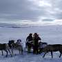 experts-challenge-norwegian-rules-on-s-mi-reindeer-husbandry