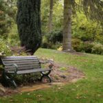 explore-stunning-gardens-in-the-yarra-ranges-this-spring