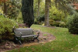 explore-stunning-gardens-in-the-yarra-ranges-this-spring