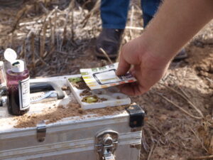 eyre-peninsula-joins-national-initiative-to-map-soil-health